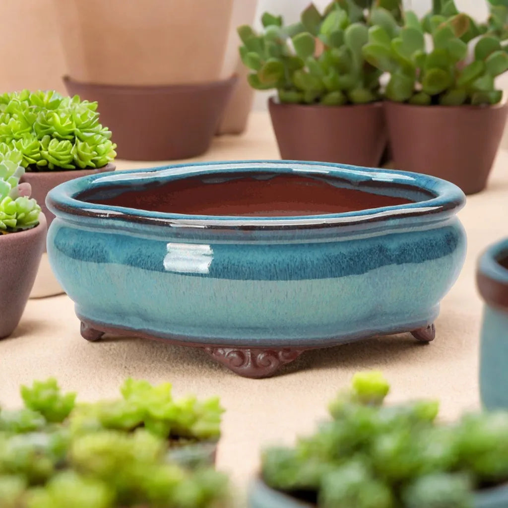 cache pot céramique bleu translucide classique plante verte décoration maison