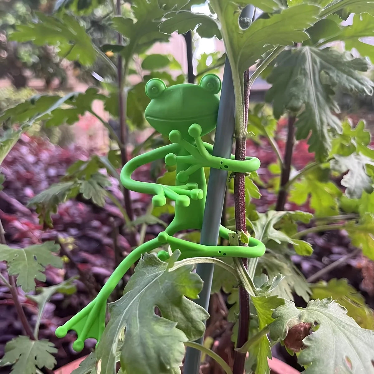 support plante forme grenouille verte plastique pattes articulées mignon adhésif 12 pièces