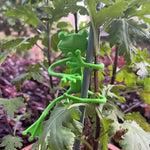 support plante forme grenouille verte plastique pattes articulées mignon adhésif 12 pièces