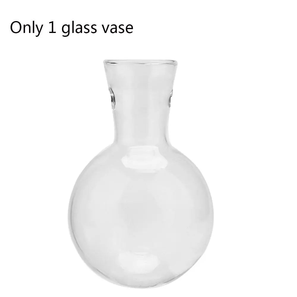 vase verre transparent moderne plante verte clips métalliques minimaliste