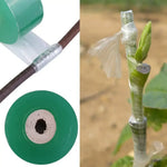 ruban adhésif transparent vert élastique souple auto adhésif support plantes jardin biodegradable