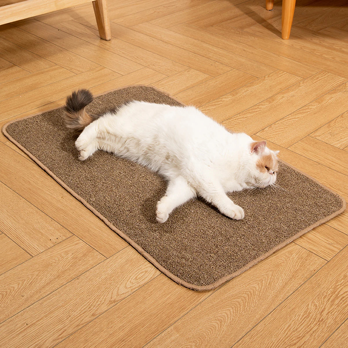 tapis antidérapant protection chat marron clair doux moderne adhésif 40 60cm 50 80cm 100