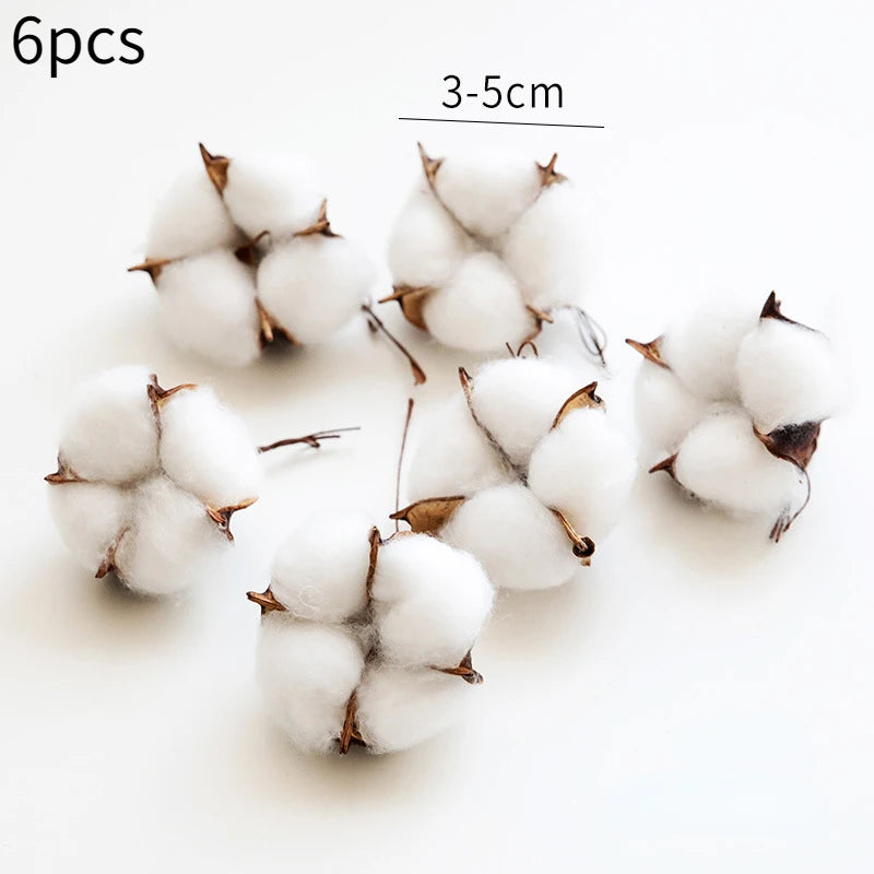 bouquet coton blanc naturel boules tiges brunes décoration intérieure artificielle noël bricolage
