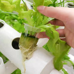 système hydroponique culture légumes balcon planter vert pvc pipe structure connecteurs pots eau pompe