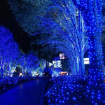 guirlande lumineuse solaire extérieure modes bleu multicolore moderne jardin mariage