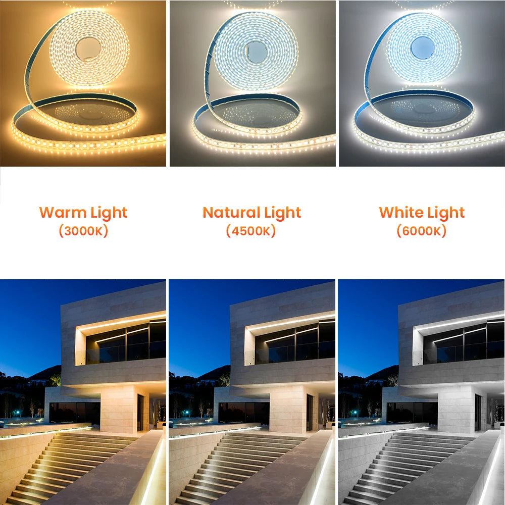 Bande LED flexible éclairant un jardin de nuit