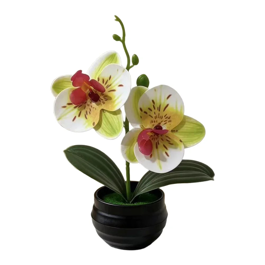 décoration intérieure orchidées artificielles violettes blanches vertes moderne pot noir