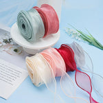 rubans polyester translucides moderne rouge rose beige vert bleu blanc 4cm enroulés decoration cadeaux
