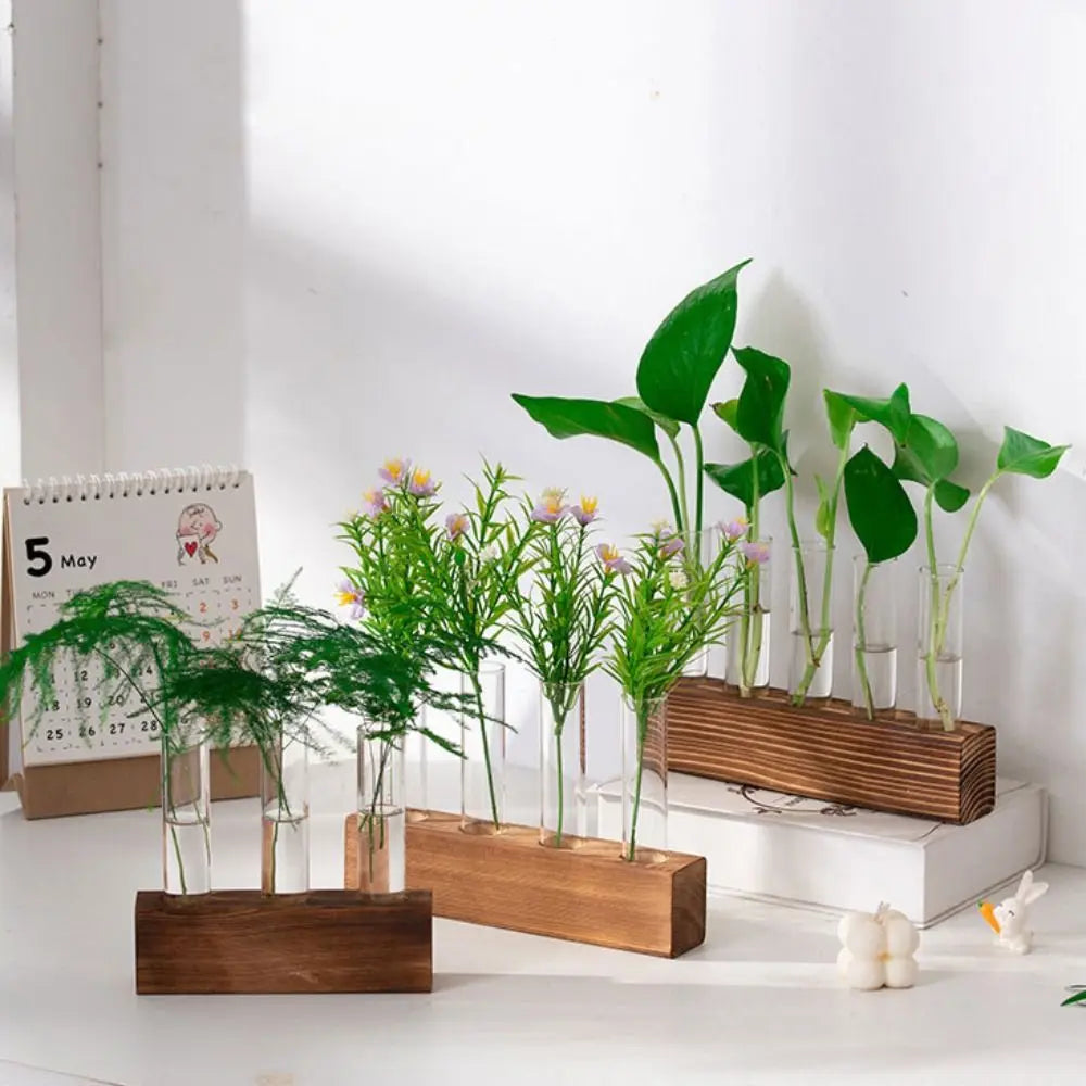 support plante bois transparent verre tubes test minimaliste deco moderne