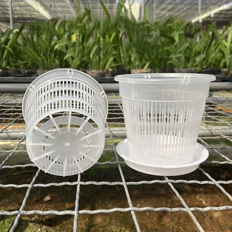 pots plastique alvéolaires orchidées plantes vertes croissance racines respirants jardin transparents