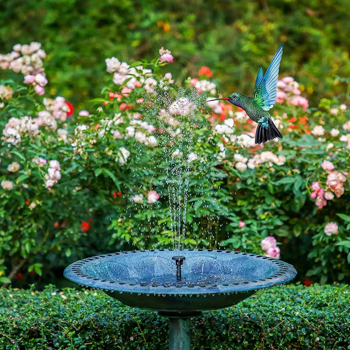 fontaine solaire jardin noir bleu panneau solaire clips pompe eau minimaliste texture granuleuse