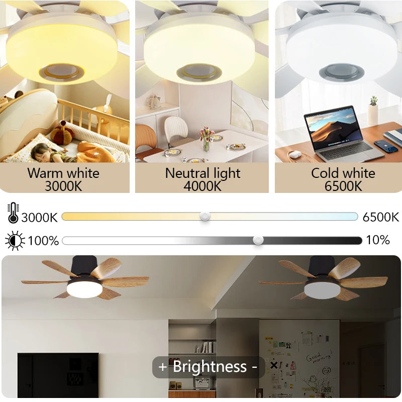 ventilateur led télécommande luminosité minuterie moderne noir bois naturel minimaliste