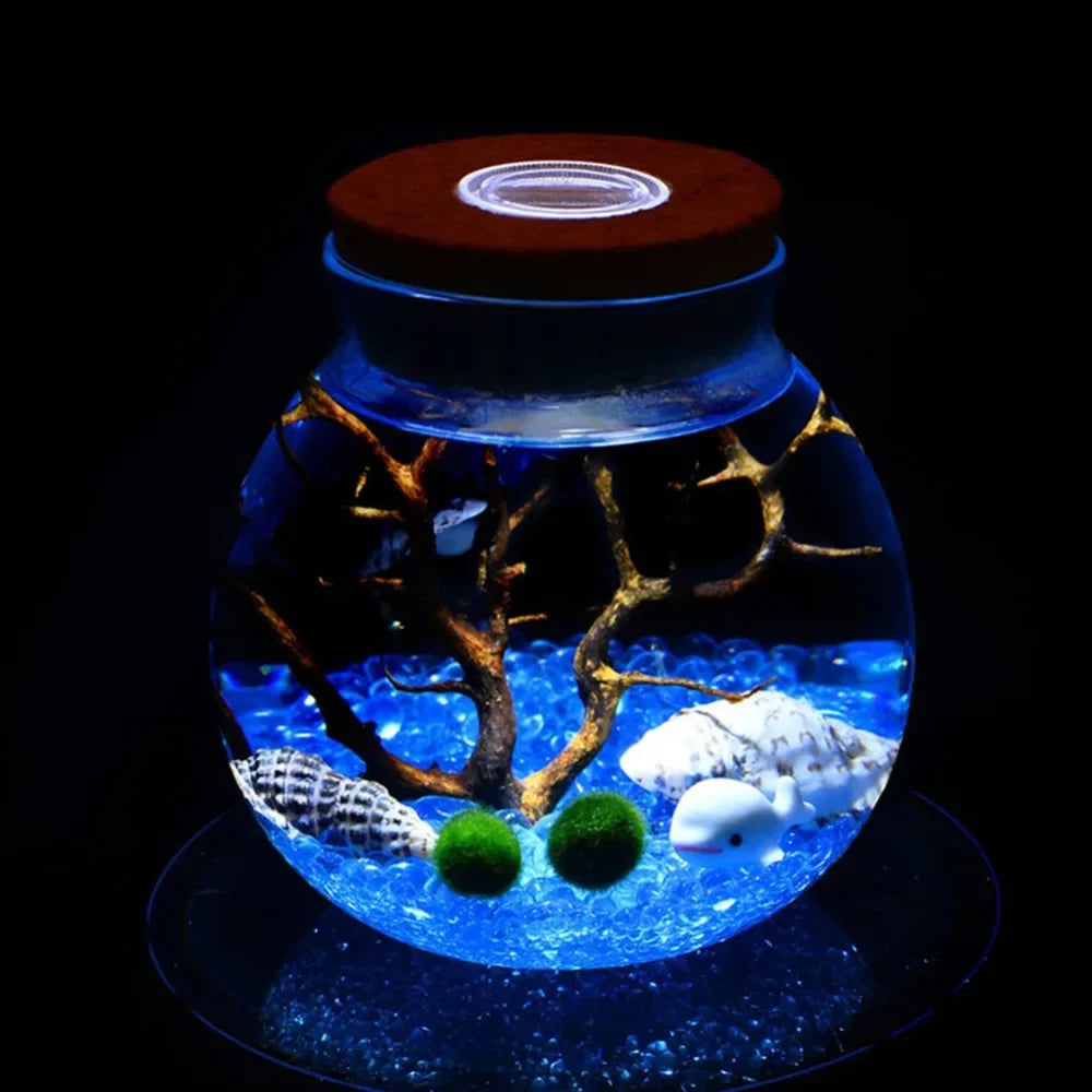 bocal verre transparent coquillages branches bouleaux figurine led colorée nocturne deco naturelle