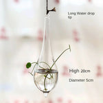 ampoules verre transparentes modernes opalescentes cordelette boutons fixation pot plantes minimaliste