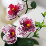 fleurs artificielles orchidées papillon soie blanc rose vert modernes intérieur mariage anniversaire