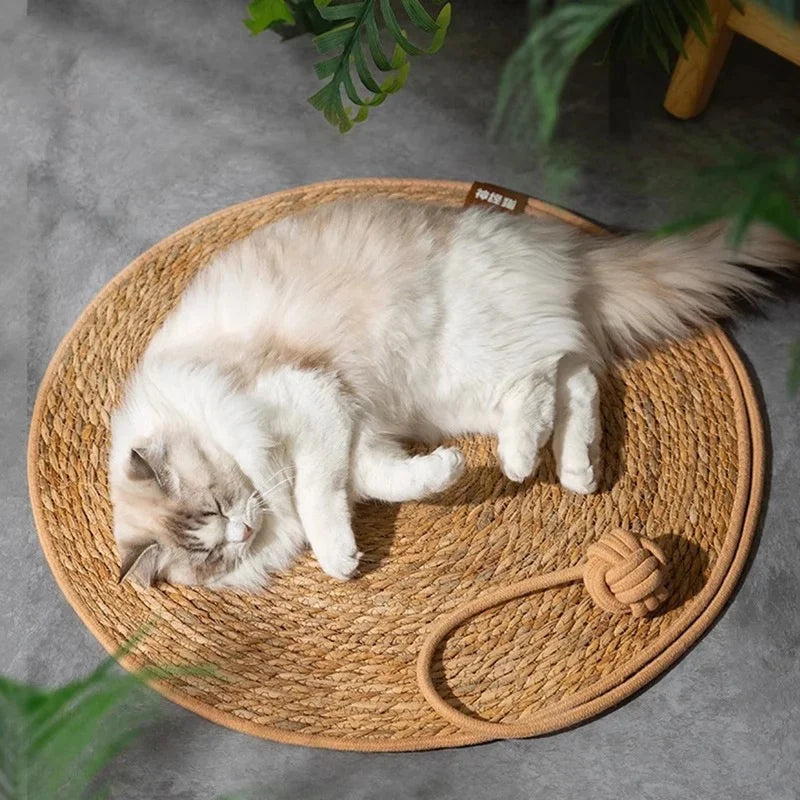 tapis gratter chat tissé main spirale beige clair protection meuble accessoire intérieur balle jouet