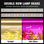 ruban led croissance rose blanc points lumineux clips moderne câble interrupteur étanche 12w/m