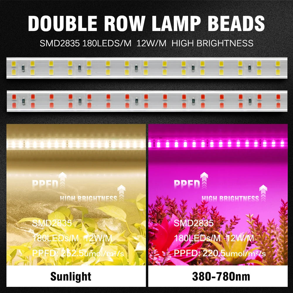 ruban led croissance rose blanc points lumineux clips moderne câble interrupteur étanche 12w/m