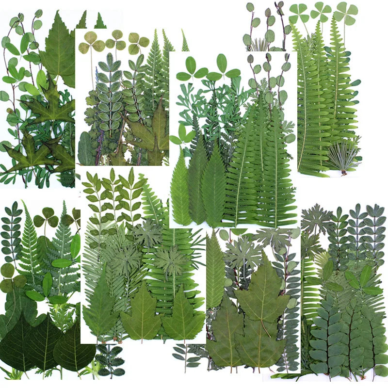 Décoration murale en résine avec fleurs naturelles