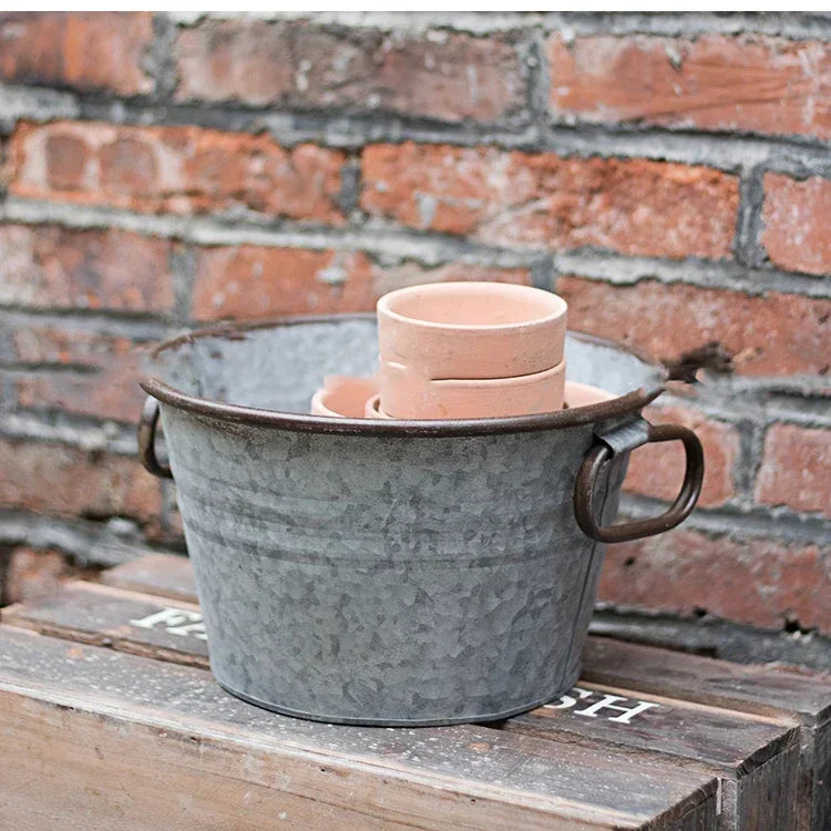 seau métal vintage anses rouille plante verte fleur blanche pot terre cuite brique rouge