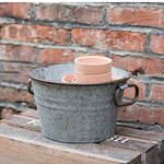 seau métal vintage anses rouille plante verte fleur blanche pot terre cuite brique rouge