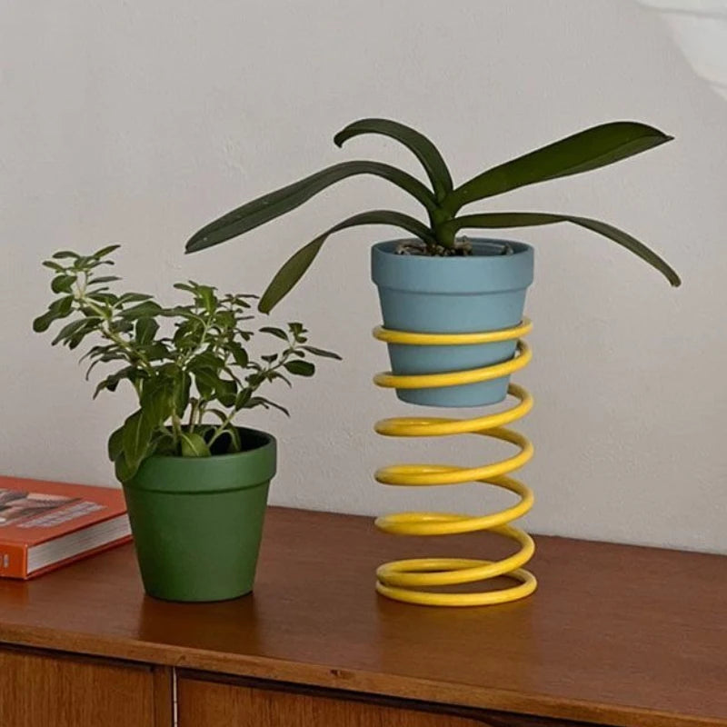 support plante moderne spirale adhésif pots plante vert bleu orange jaune