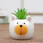 cache pot cartoon visage animé blanc rose jaune noir succulente décoration table adultes unisexe