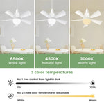 ventilateur moderne blanc lampe e27 télécommande led variable cuisine chambre