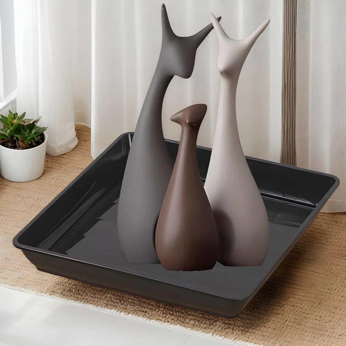 plateau carré noir moderne pots fleurs plantes intérieures usage présentoir décoration jardinage succulentes palmiers