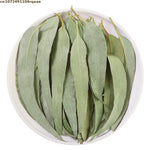 feuilles eucalyptus sèches vert clair decoration mariage intérieur parfumées naturelles rustiques 100g 200g 400g