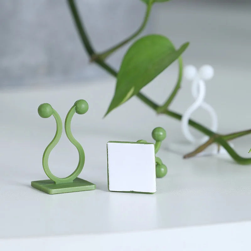 support mural plantes grimpantes clips autoadhésifs vert clair moderne minimalisteintérieur extérieur facile montage détachement