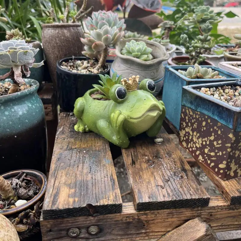 jardinière grenouille couronne vert doré plant succulent pot résine patio décoration fantaisiste