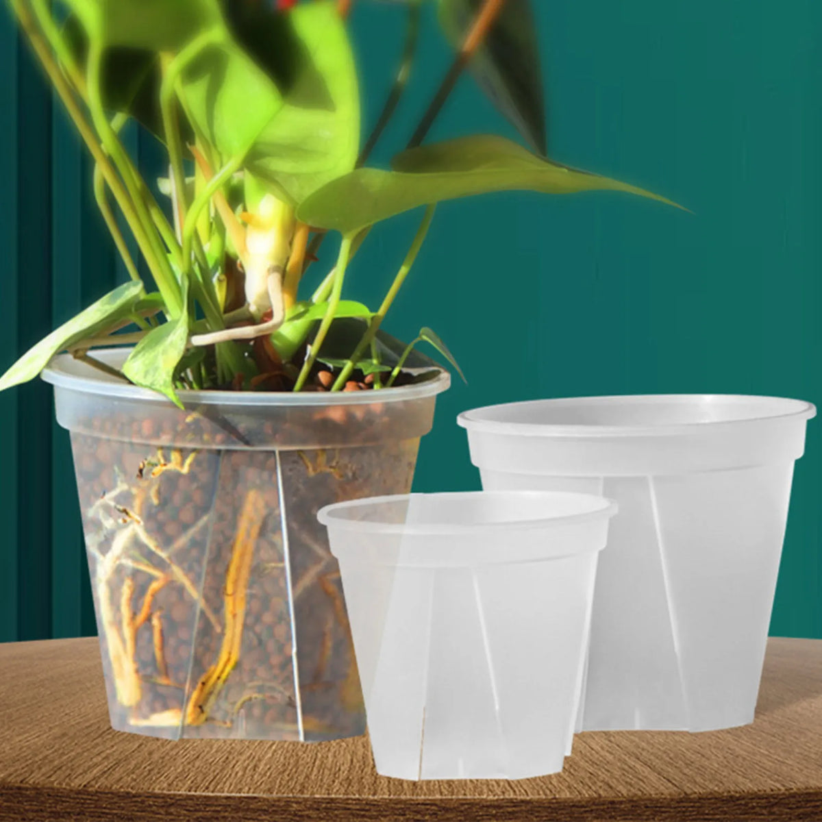 pots fleurs modernes transparents plastique grille tailles adhésif support fleur couvercle
