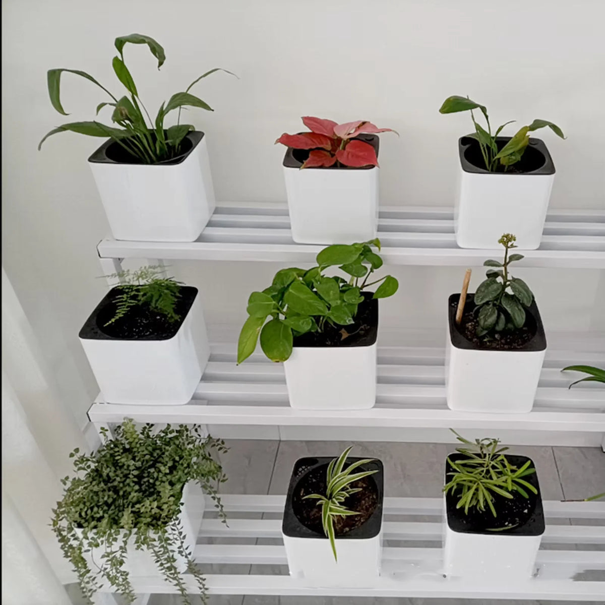 Pot plante auto arrosant moderne blanc indicateur niveau eau fleur verte rond