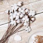 décoration intérieure bouquet coton blanc feuilles vertes tiges brunes naturel rustique mariage anniversaire festivités