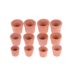 pots miniature terre cuite différents tailles fleurs jaunes plante grasse rustic