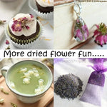 sachets lavande huile essentielle bougies parfumées bijoux résine motifs floraux texture lavande violettes intérieur