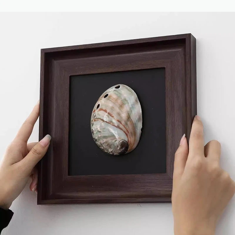 décoration murale coquilles naturelles classiques cadre brillant noir marron salon chambre affichage ornement traditionnel