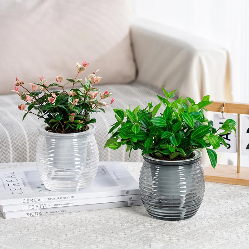 pot plantes moderne rayures horizontales gris orange rouge blanc
