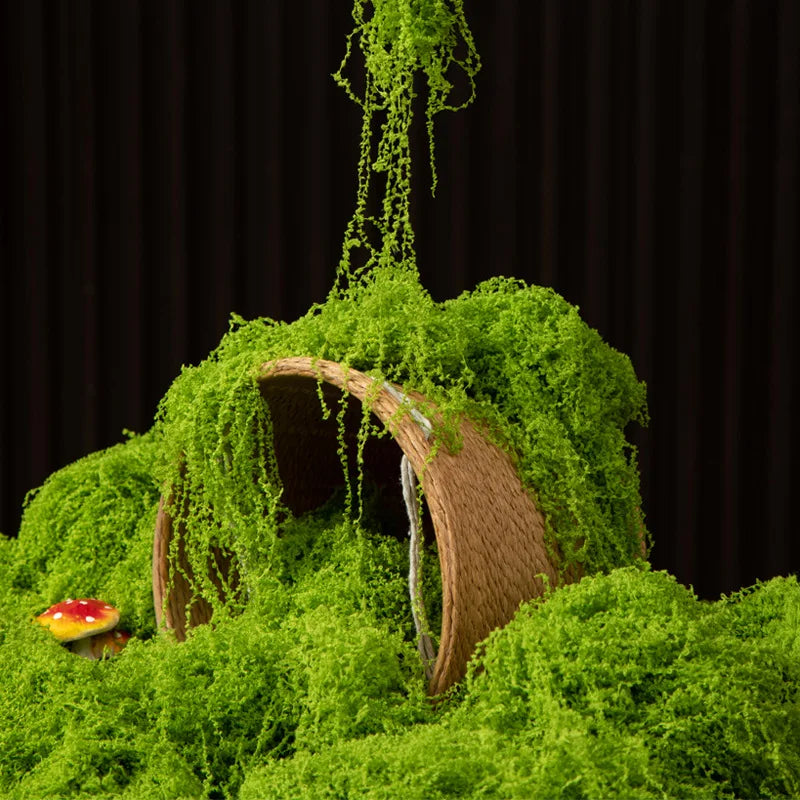 mousse éternelle 200g décoration maison artisanat diy plantes vertes artificielles vigne polyamideintérieur faux herbe
