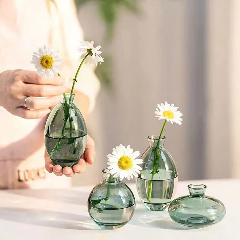 vases transparent modernes verre simple minimalistes bleu vert fleurs plantes