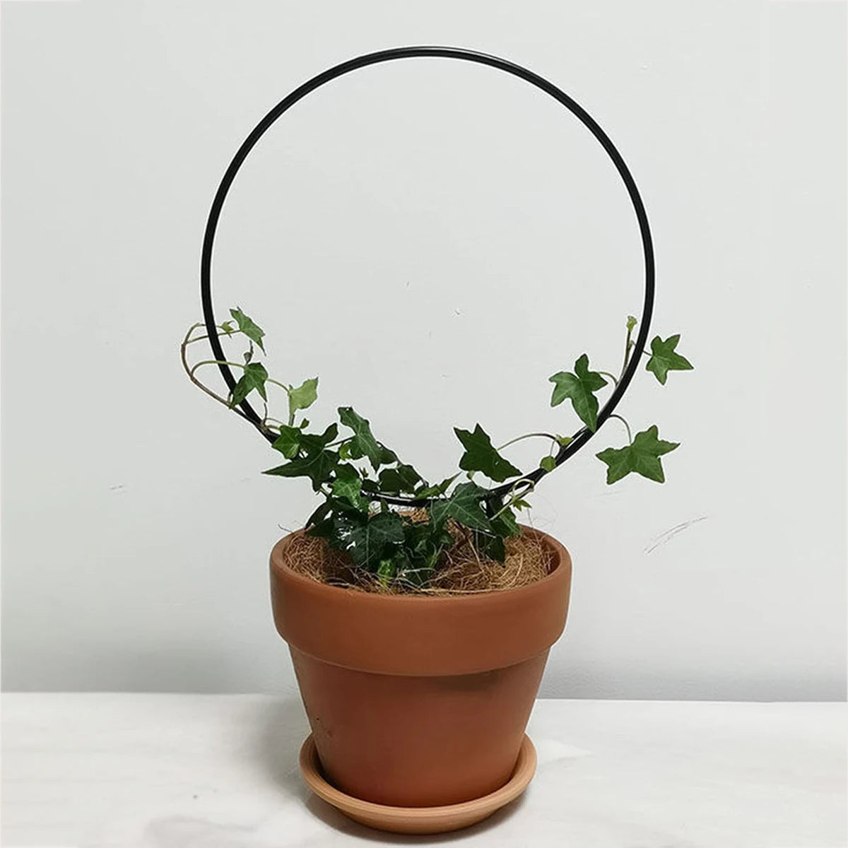 pot plante moderne clips orange gris blanc rouge plante verte fleur rose dessin animé