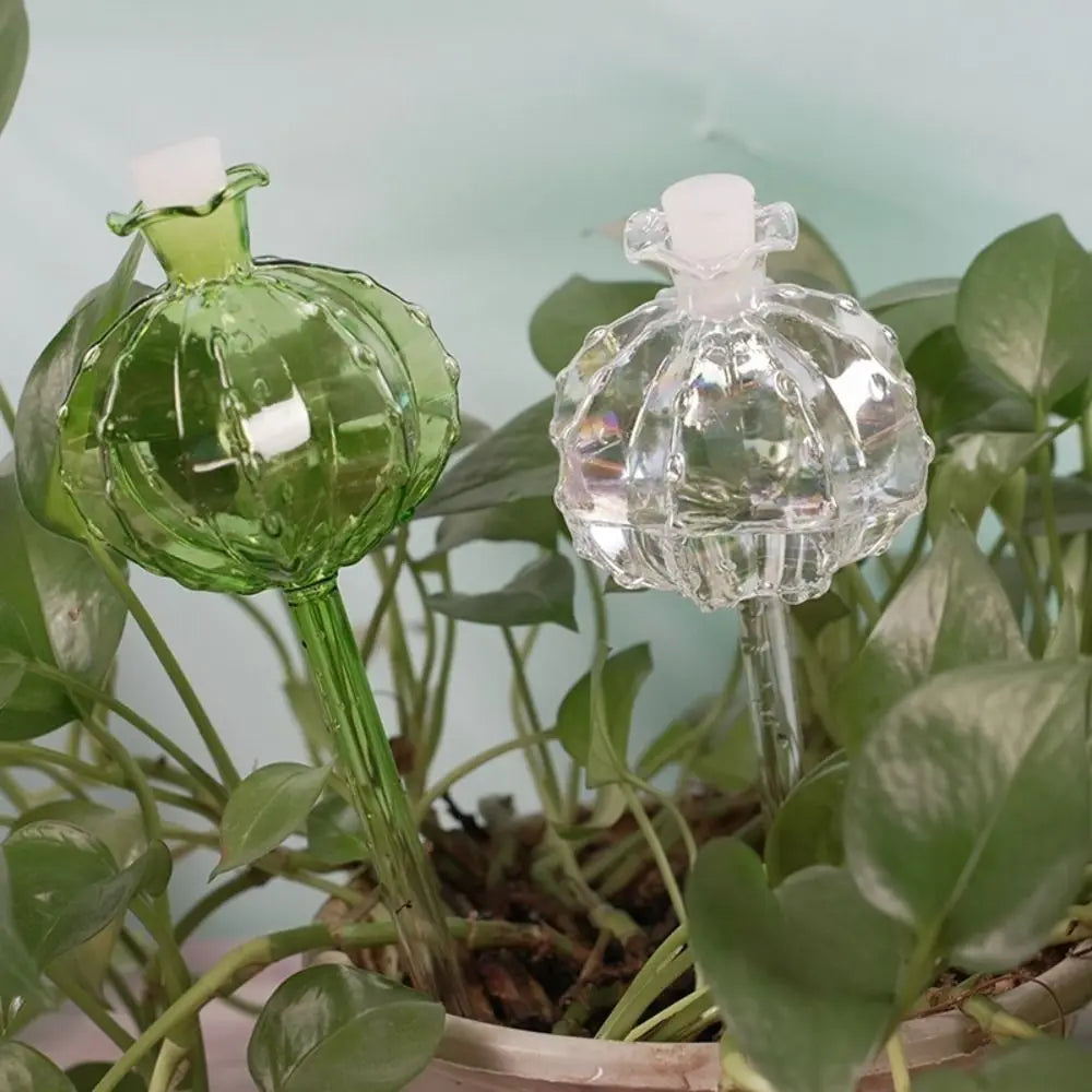 arrosage automatique verre transparent plantes intérieur moderne cactus fleuri décoration florale autonomie pompes tubulaires