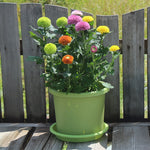 pot fleurs moderne plastique vert pot plantes succulentes aménagement extérieur jardinage assise amovible