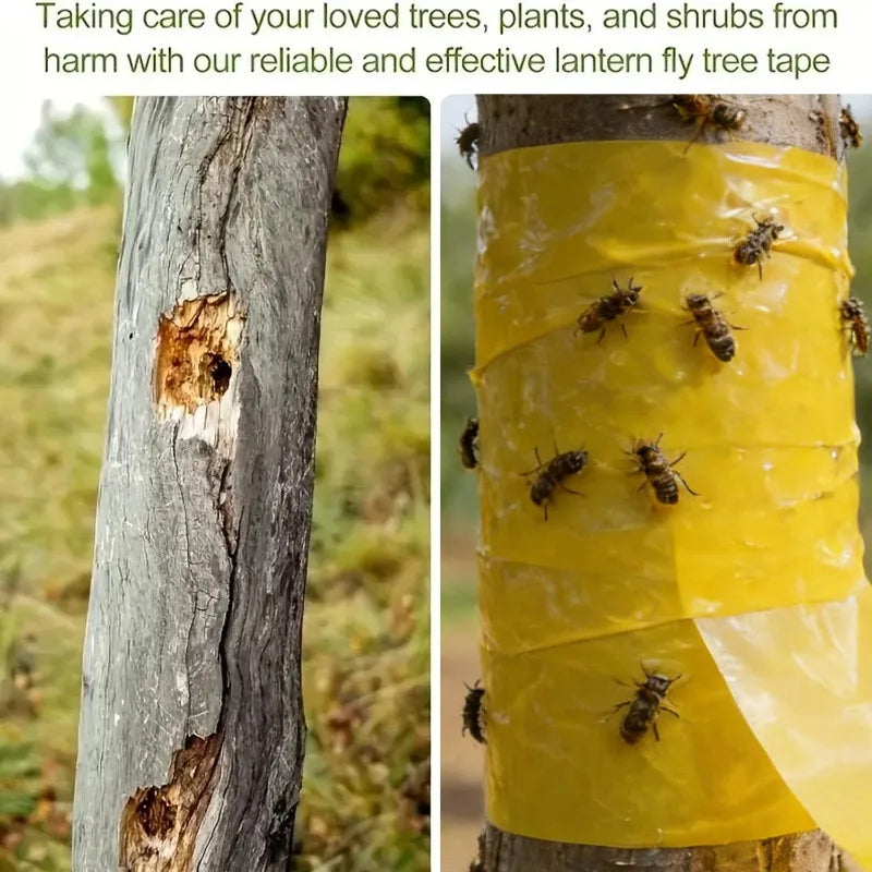 adhésif anti insectes protection arbres serre céréaliers bandes jaunes fourmis mouches moustiques