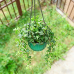 pots suspendus auto arrosants balcon cour plastique rayures vertes modernes marrons chaine inclusion plante