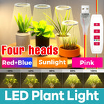 lampe led croissance plante réglable minuterie auto arrêt fleurs cactus moderne transparent feuilles vertes
