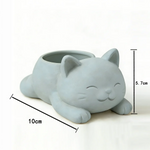 cache pot forme chat blanc noir gris moderne plante succulente doux mignonintérieur decoration