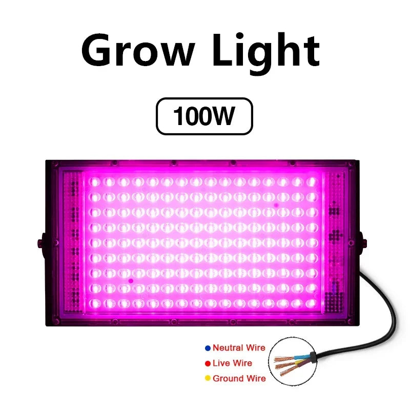 lampe led full spectrum 50w 100w noir blanc rose moderne clips cabled interrupteur grow