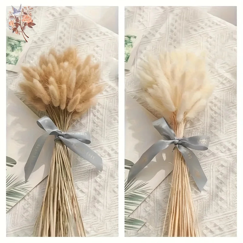 fleurs séchées naturelles bouquet ovales blanc beige décoration intérieure anniversaire mariage